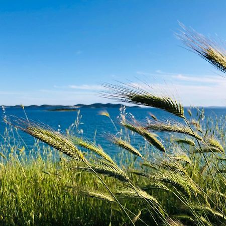 Ecobeachvilla Buqez 9 Pakoštane Buitenkant foto