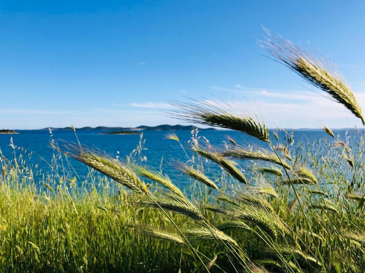 Ecobeachvilla Buqez 9 Pakoštane Buitenkant foto