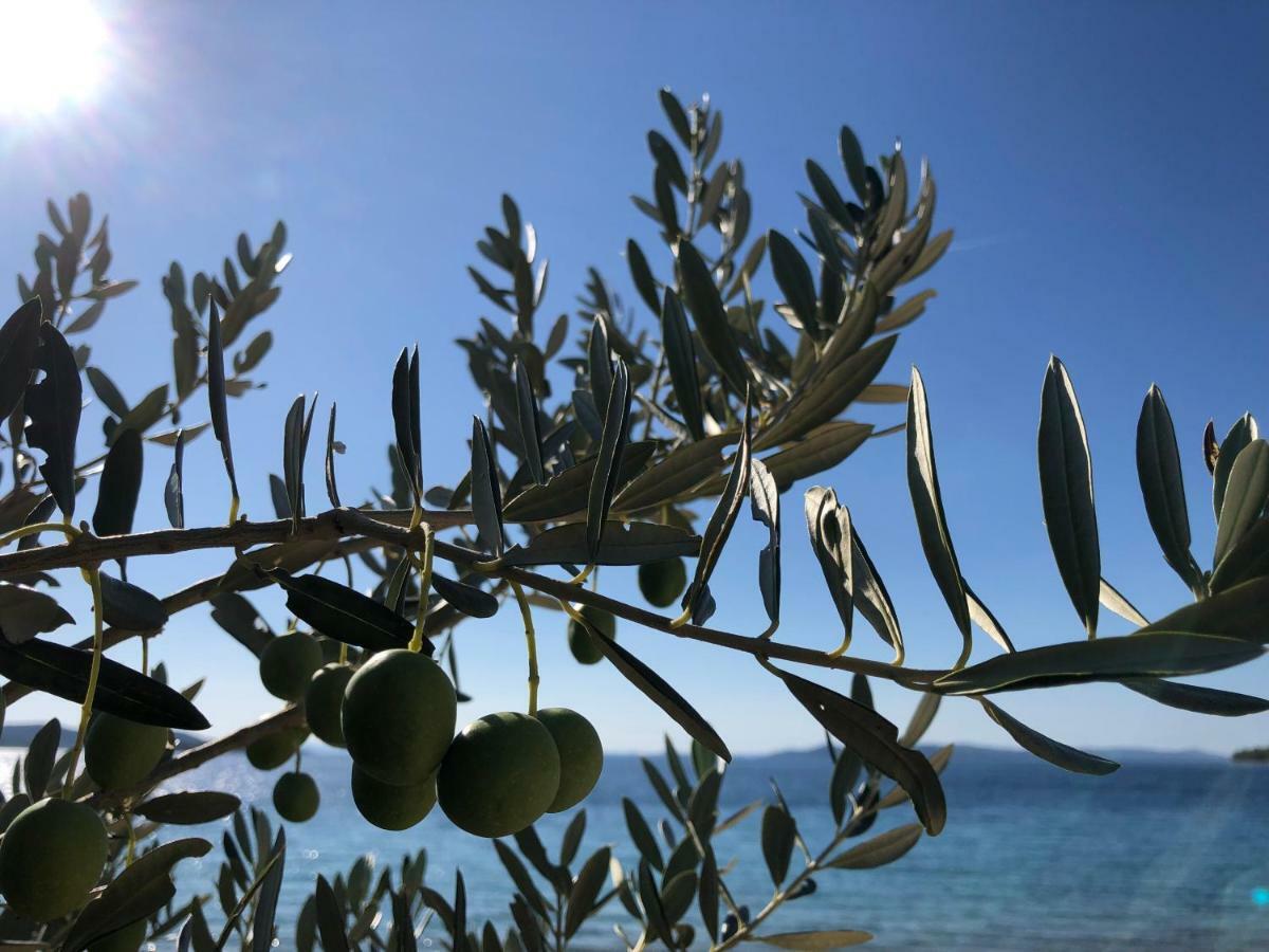 Ecobeachvilla Buqez 9 Pakoštane Buitenkant foto